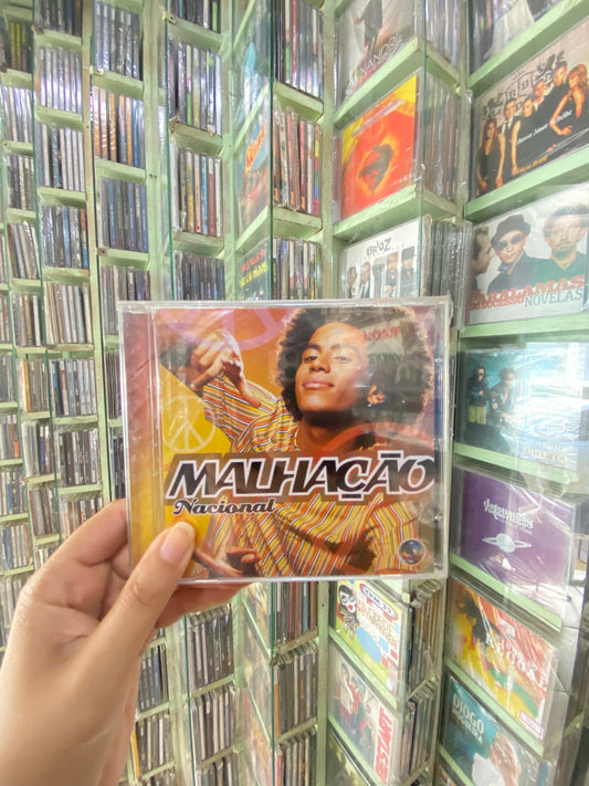 Malhação Nacional 2004